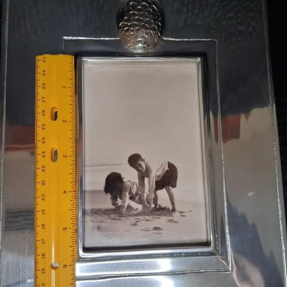 Mariposa Brillante Pineapple Picture Frame Silver Recycled Aluminum 4x6